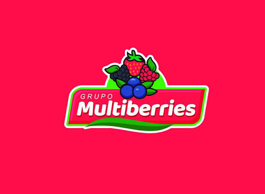 Logo de Grupo Multiberries, empresa cliente de WASP ERP